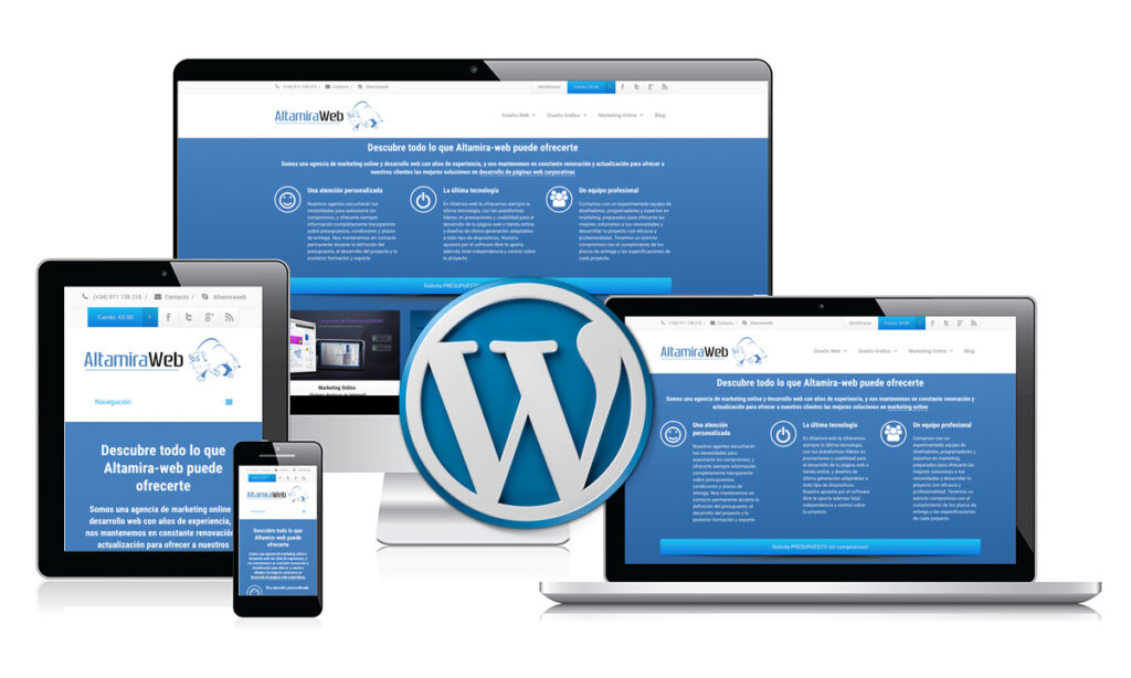 Diseñador web wordpress